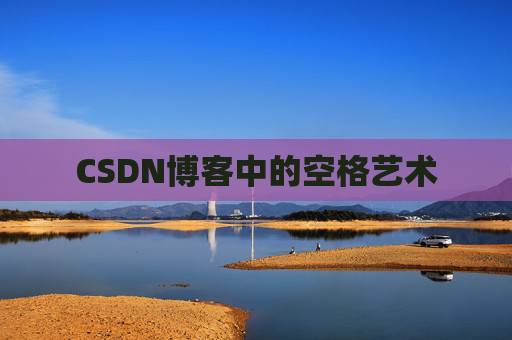 CSDN博客中的空格艺术